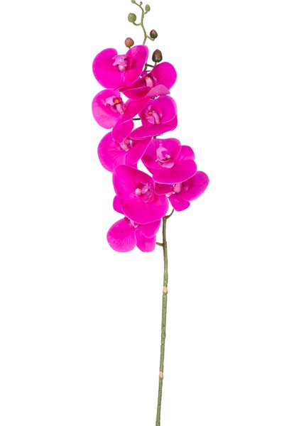 Yapay Orkide Gerçek Dokunuş Fuşya 90 cm .