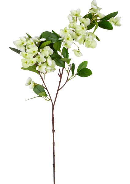 Yapay Islak Dokulu Sütleğen Çiçek Su Yeşili 77 cm .