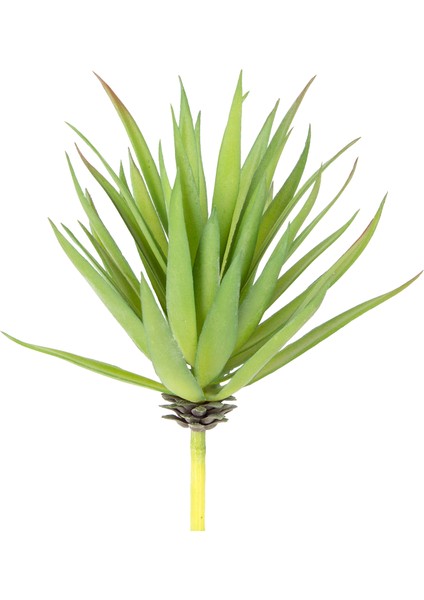 Yapay Kaktüs Sukulent Yeşil 20 cm