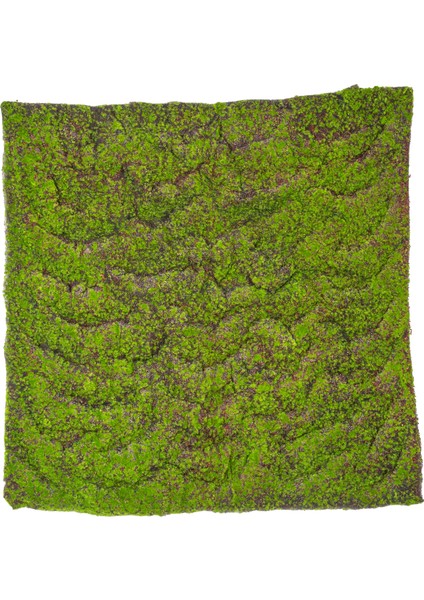 Yapay Yosun Duvar Dekoru Tabaka Kahve-Yeşil 100X100 cm . fiyatları