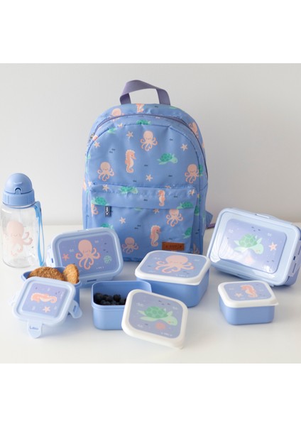 3.lü Beslenme / Atıştırma Kutusu Ocean Life modelleri