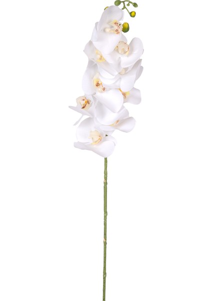 Yapay Orkide Gerçek Dokunuş Beyaz 90 cm .