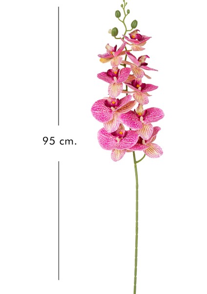 Yapay Orkide Gerçek Dokunuş Fuşya 95 cm . modelleri