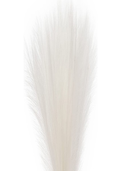 Yapay Bitki Pampas Beyaz Dal 108 cm . fiyatları