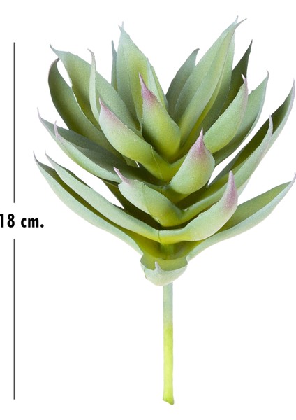 Yapay Kaktüs Sukulent Yeşil 18 cm