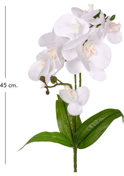 Yapay Orkide Gerçek Dokunuş Beyaz 45 cm . fırsatları