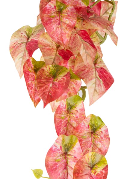 Yapay Bitki Salon Sarmaşığı Kızıl 35 Cm. fiyatları
