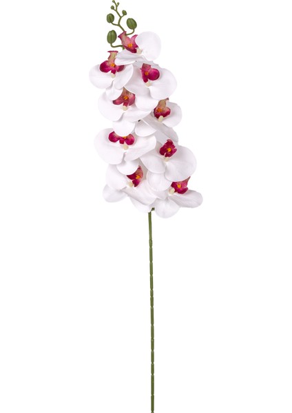 Yapay Orkide Gerçek Dokunuş Beyaz-Mor 95 Cm.