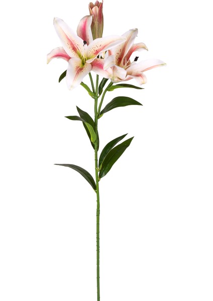 Yapay Çiçek Zambak Fuşya-Krem 85 Cm.