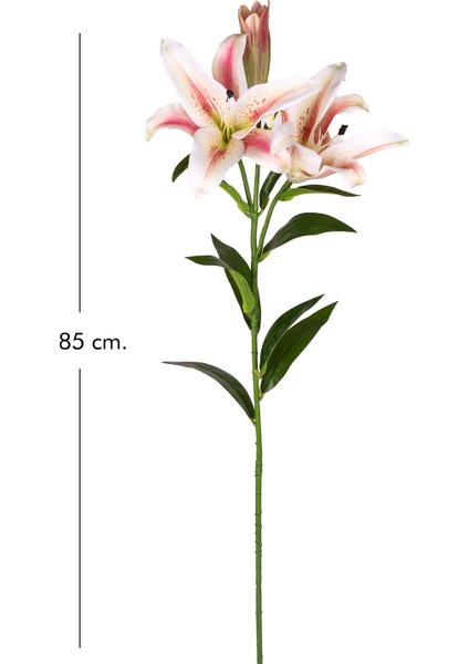 Yapay Çiçek Zambak Fuşya-Krem 85 Cm. fırsatları