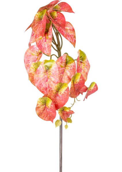 Yapay Bitki Salon Sarmaşığı Kızıl 25 Cm.