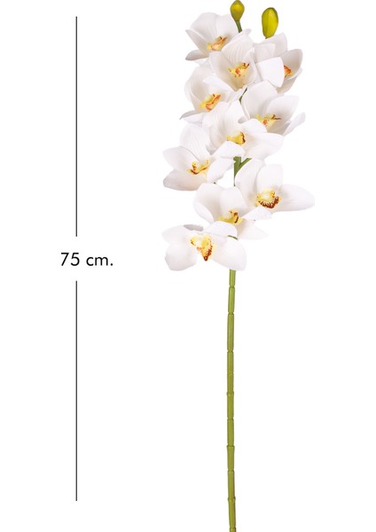 Yapay Orkide Gerçek Dokunuş Beyaz-Sarı 75 Cm. fırsatları