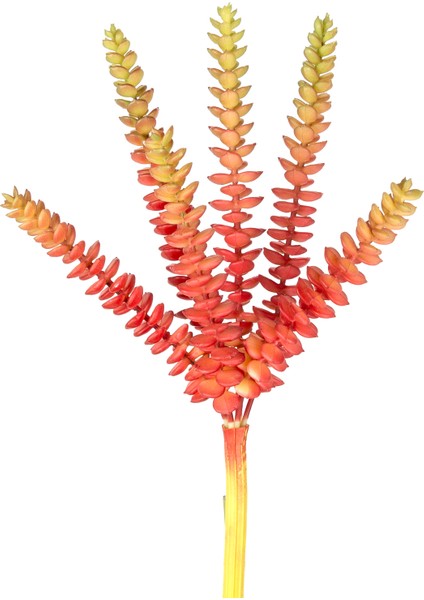Yapay Kaktüs Sukulent Kırmızı/yeşil 26 cm