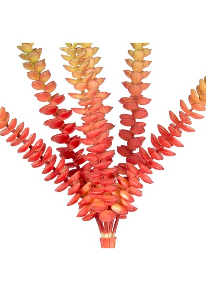 Yapay Kaktüs Sukulent Kırmızı/yeşil 26 cm fiyatları