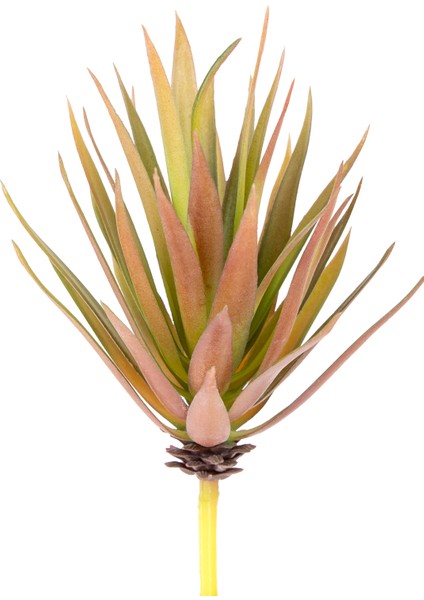 Yapay Kaktüs Sukulent Kırmızı/yeşil 20 cm