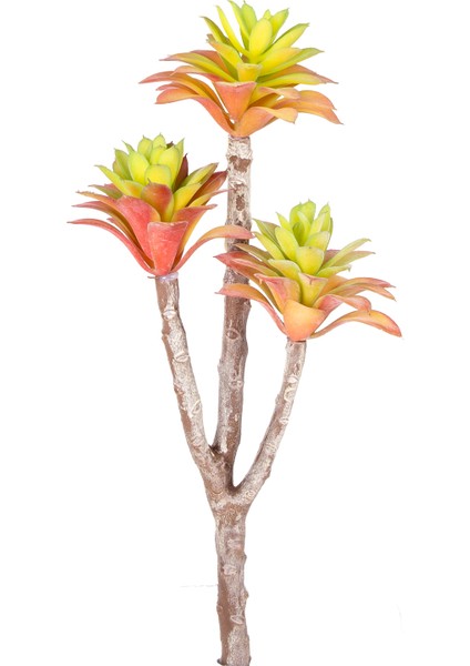 Yapay Kaktüs Sukulent Kırmızı/yeşil 35 cm modelleri