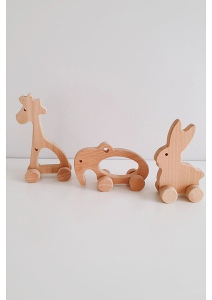 Eğitici Ahşap Oyuncak 3'lü Set