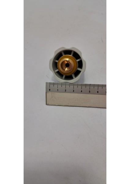 Buharlı Ütü Valf Kapağı Emniyet Ventili 3/8 10056851 modelleri