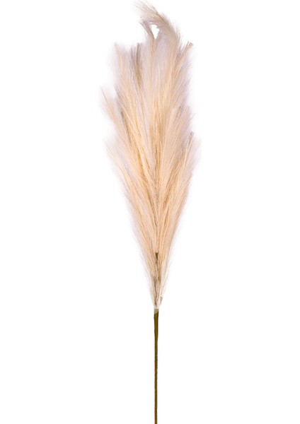 Yapay Bitki Pampas Dal Krem 108 cm .