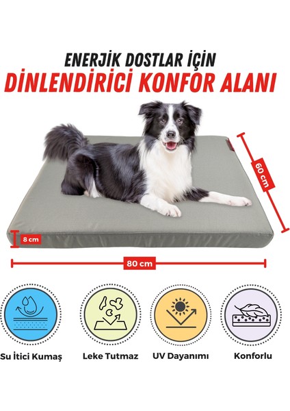 Patiminder Köpek Yatağı Büyük Irk Köpek Yatağı Büyük Köpek Yatakları 60X80cm