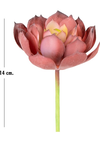 Yapay Kaktüs Sukulent Kırmızı 14 cm indirimleri