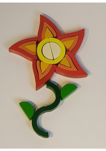Waldorf Güneş Çiçeği