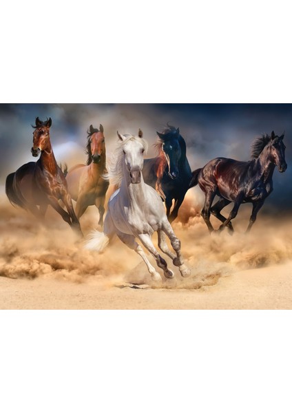 KS Games Wild Horses 1000 Parça Puzzle