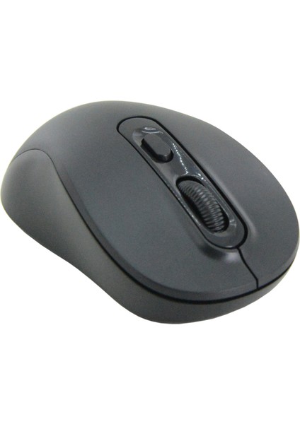 Coverzone Kablosuz Mouse Dizüstü Bilgisayar ve Pc ile Uyumlu Ayarlanabilir 3 Farklı Dpı, USB Dongle Bilgisayar Faresi G03 - Siyah Renk