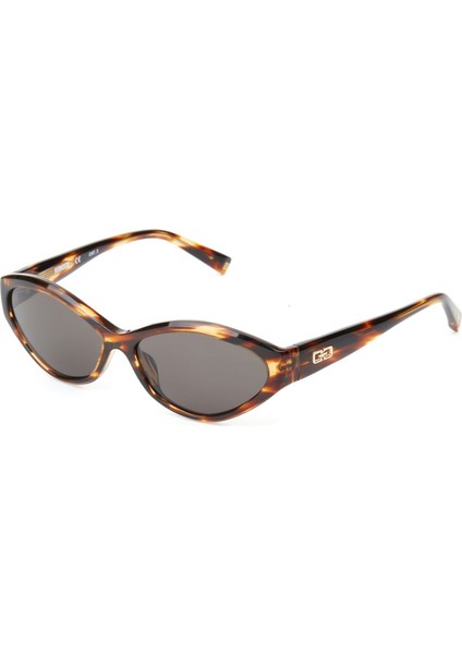 Hm 1647 C2 Cat Eye Havana Kadın Güneş Gözlüğü
