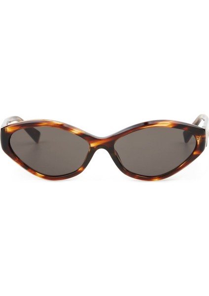 Hm 1647 C2 Cat Eye Havana Kadın Güneş Gözlüğü modelleri
