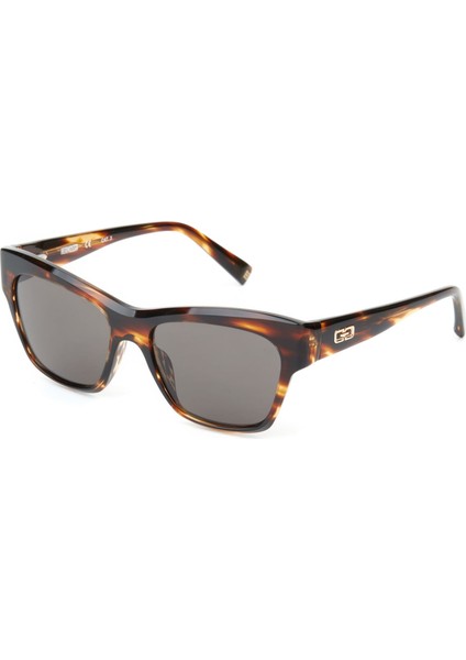 Hm 1648 C2 Cat Eye Havana Kadın Güneş Gözlüğü