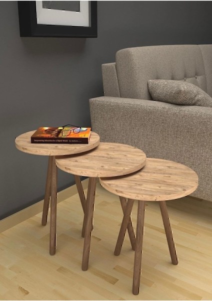 Tekno Trust Iskandinav Zigon Sehpa Ahşap Ayaklı Çam 3'lü Yuvarlak 38 x 43 Iskandinav Garantisiz 3 Ahşap Kahvere