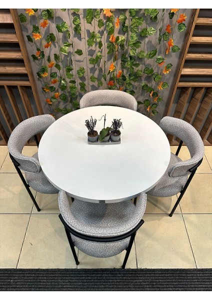 Tekno Trust Suntalam Elisa Yuvarlak 4 Kişilik Mutfak Masası Takımı SOFT12 modelleri