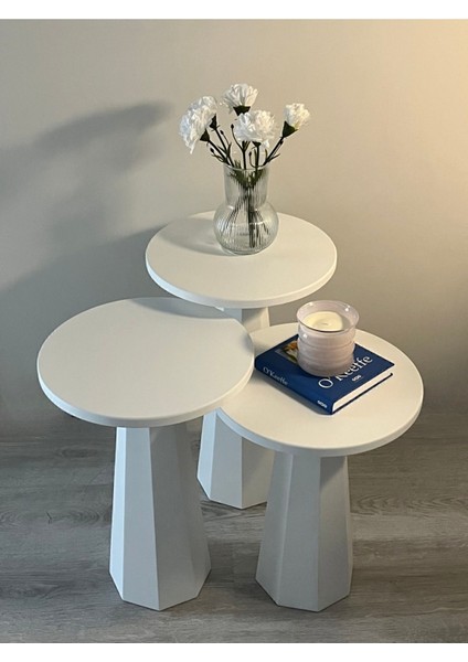 Tekno Trust Yuvarlak Lilyum Lake Mantar Sehpa Beyaz Üçlü Set (47-52-57 Cm) 3 2 Yıl Mdf Modern 35 x 35 Modern Be