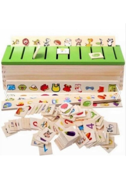 Montessori Bilgi Sınıflandırma Kutusu