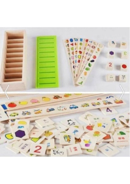 Montessori Bilgi Sınıflandırma Kutusu fiyatları