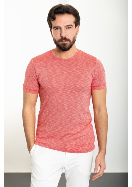 Kırçıllı Kiremit Slim Fit Bisiklet Yaka Erkek T-Shirt