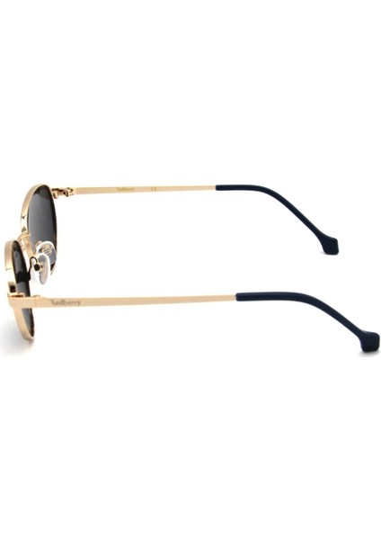 Rb 2204 C03 Siyah Kadın Güneş Gözlüğü fırsatları