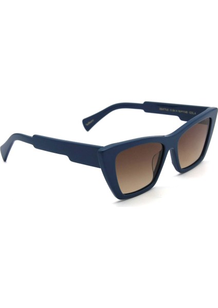 Rb Seattle C4 Kadın Güneş Gözlüğü modelleri