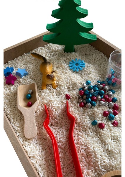 Ahşap Etkinlik Seti - Montessori Oyuncak modelleri