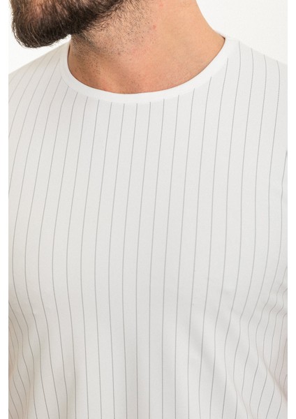 Çizgili Ekru Slim Fit Bisiklet Yaka Erkek T-Shirt fiyatları