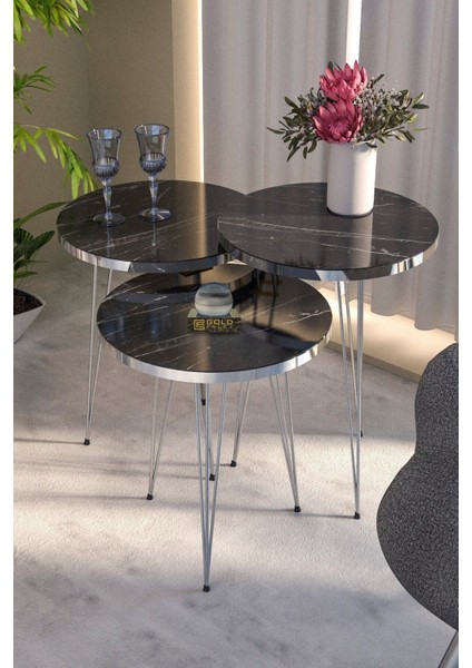 Tekno Trust Modern Zigon Sehpa Gümüş Bendir Tel 2 Yıl 34 x 34 Yuvarlak Suntalam Siyah Modern 3