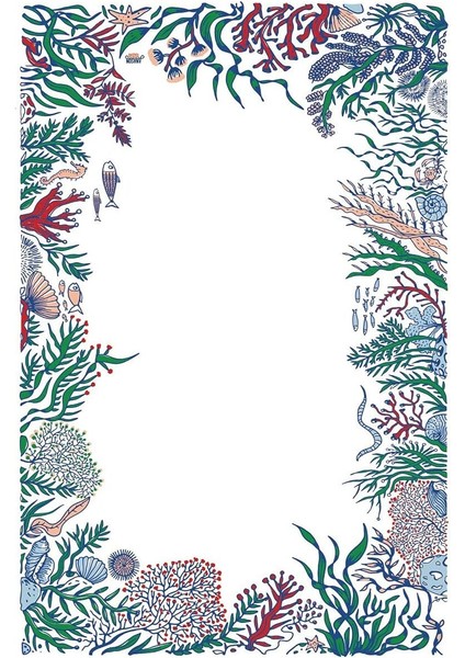 Balık Gözü Hepsi Bir Arada Takım 10'lu Set indirimleri