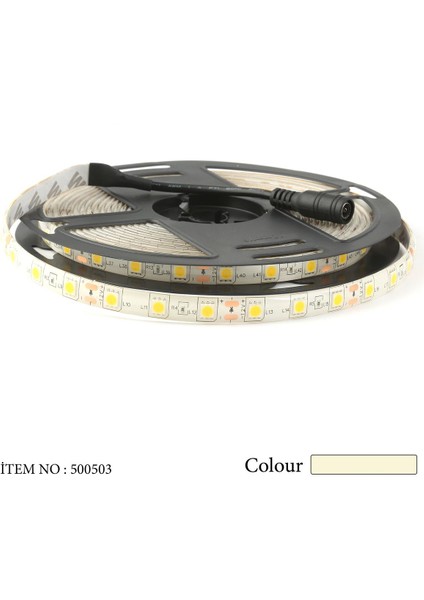 ATEK LED 5 Metre Günışığı Şerit Led Seti - 50x50 Led, 12v Adaptör Girişli