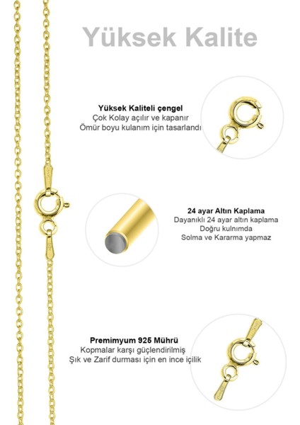 Kadın Gümüş Ince Forse Zincir 24 Ayar Altın Kaplama Kolye Özel 0.70MM Mücevher fırsatları