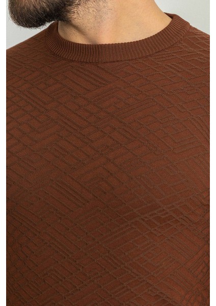 Desenli Fındık Rengi Slim Fit Bisiklet Yaka Erkek Triko T-Shirt fiyatları