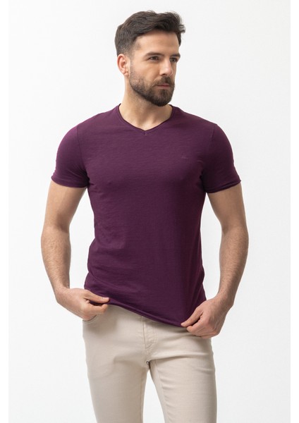 Desenli Slim Fit V Yaka Basic Erkek T-Shirt modelleri
