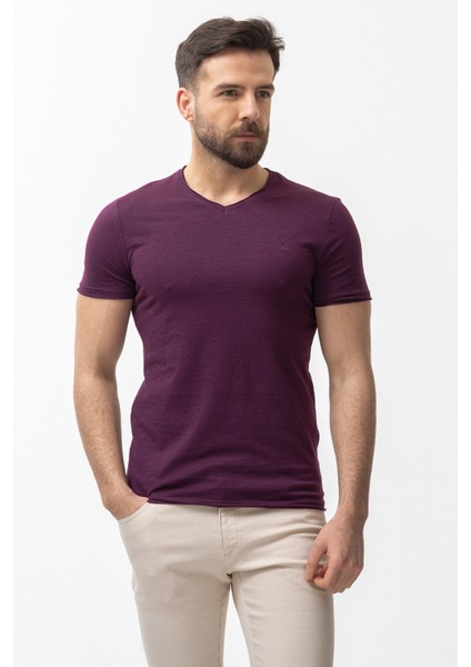 Desenli Slim Fit V Yaka Basic Erkek T-Shirt