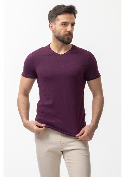 Desenli Slim Fit V Yaka Basic Erkek T-Shirt