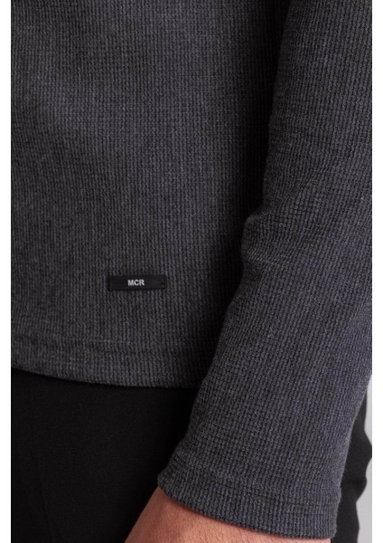 Antrasit Rengi Slim Fit Uzun Kollu Bisiklet Yaka Erkek T-shirt fırsatları